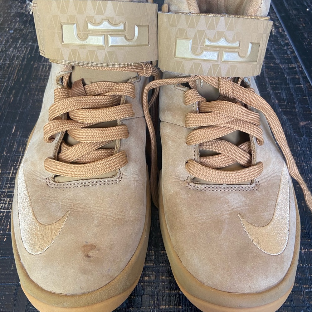 Nike LeBron Shoes size youth 5